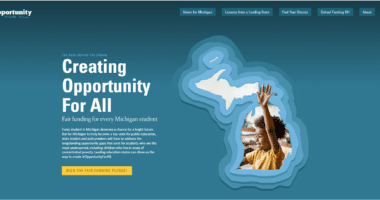 Screenshot of the Opportunity for All website landing page